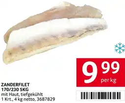 Transgourmet Zanderfilet Angebot