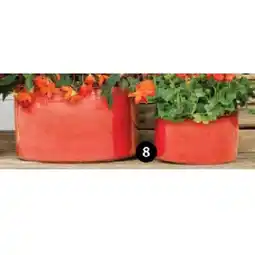 Dehner Pflanztopf 'Barell' versch. Farben und Größen Dehner Angebot