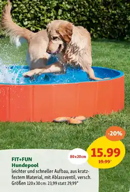 Fressnapf Hundepool Angebot