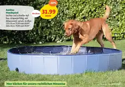 Fressnapf Hundepool Angebot