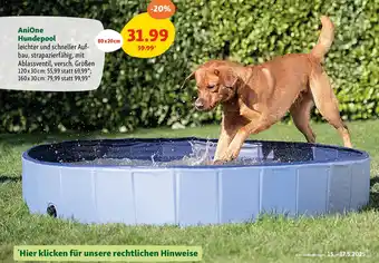 Fressnapf Hundepool Angebot
