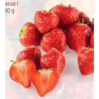 Hofer Erdbeeren in der Steige HOFER Angebot