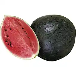 Metro Wassermelone, Preisangabe ohne MwSt. (Preis inkl. MwSt. 6,92 €), METRO Angebot