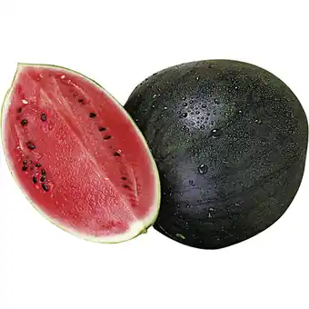 Metro Wassermelone, Preisangabe ohne MwSt. (Preis inkl. MwSt. 6,92 €), METRO Angebot