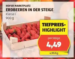 Hofer ERDBEEREN IN DER STEIGE Angebot