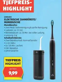 Hofer AMBIANO ELEKTRISCHE ZAHNBÜRSTE/MUNDDUSCHE Angebot