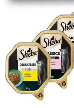 Interspar Sheba Katzennahrung Angebot