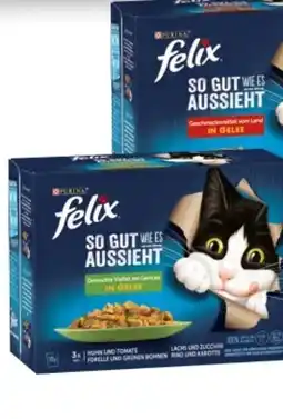 Interspar Purina Felix Katzennahrung Angebot