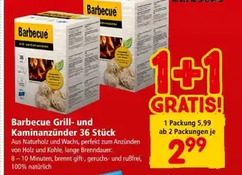 Interspar Barbecue Grill-Kaminanzünder Angebot