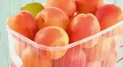 Spar Spar Marillen Angebot