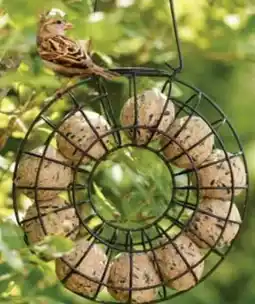 Dehner Dehner Natura Meisenknödel-Ring Angebot