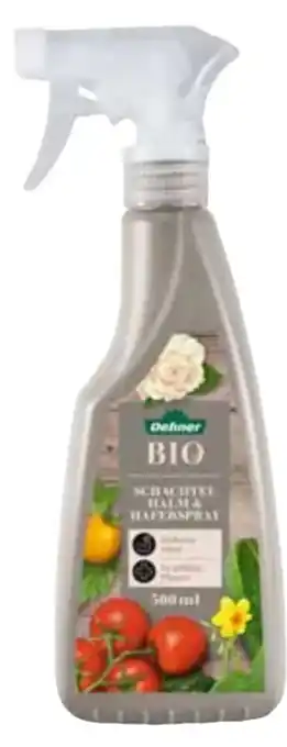 Dehner Dehner Bio Schachtelhalm-Hafersprays Angebot