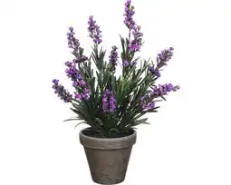 Hornbach Kunstpflanze Lavendel Ø 20 H 33 cm violett Angebot