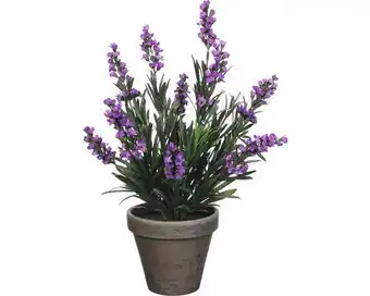 Hornbach Kunstpflanze Lavendel Ø 20 H 33 cm violett Angebot