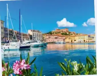 Lidl Reisen Lidl-Reisen Insel Elba Angebot