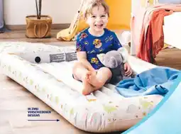 Hofer BestWay Kinder-Luftbett Angebot