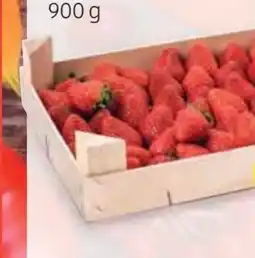 Hofer Hofer Marktplatz Erdbeeren Angebot