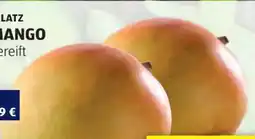 Hofer Hofer Marktplatz Iss Reif! Mango Angebot