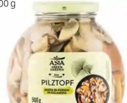 Hofer Asia Green Garden Pilztopf Angebot