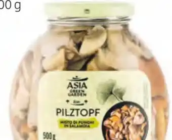 Hofer Asia Green Garden Pilztopf Angebot