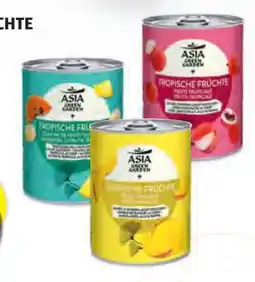 Hofer Asia Green Garden Tropische Früchte Angebot