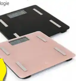 Hofer Ambiano Körperfettwaage Angebot