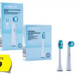 Hofer Ambiano Ersatzzahnbürsten Angebot
