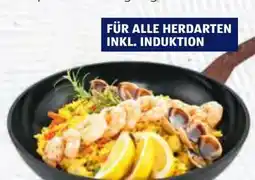 Hofer Crofton Alu-Großraumpfanne Angebot