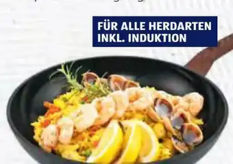Hofer Crofton Alu-Großraumpfanne Angebot