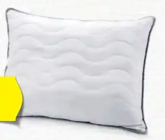Hofer Novitesse Polster Topcool Angebot