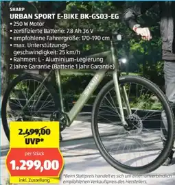 Hofer Sharp Urban Sport E-bike BK-GS03-EG Angebot