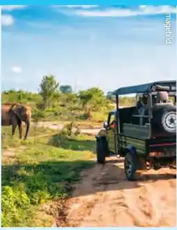 Hofer Hofer-Reisen Rundreise Tansania-Safari Angebot