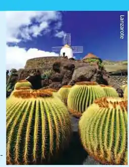Hofer Hofer-Reisen Kanaren-Madeira-Kreuzfahrt Angebot