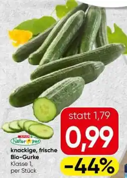 Spar knackige, frische Bio-Gurke Angebot