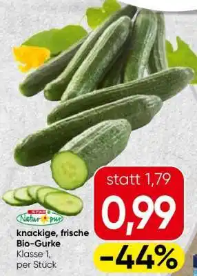 Spar knackige, frische Bio-Gurke Angebot