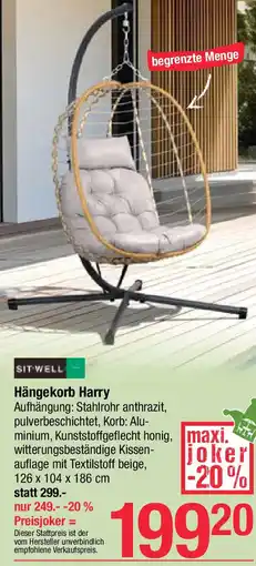 Maximarkt Hängekorb Harry Angebot