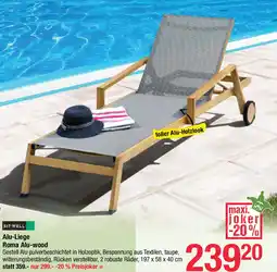 Maximarkt Alu-Liege Roma Alu-wood Angebot