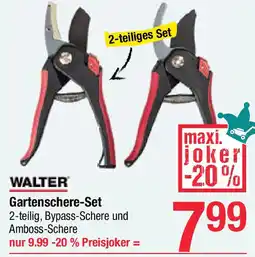 Maximarkt Gartenschere-Set Angebot