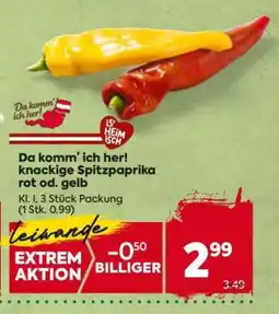 Billa Da komm’ ich her! knackige Spitzpaprika rot od. gelb Angebot