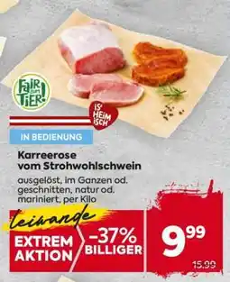 Billa Karreerose vom Strohwohlschwein Angebot