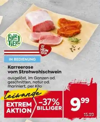 Billa Karreerose vom Strohwohlschwein Angebot