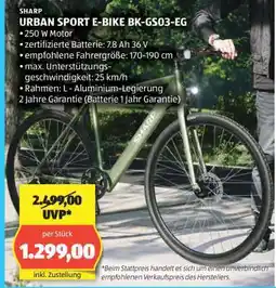 Hofer URBAN SPORT E-BIKE BK-GS03-EG Angebot