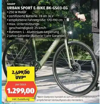 Hofer URBAN SPORT E-BIKE BK-GS03-EG Angebot