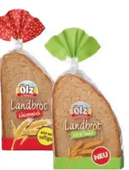 Metro Ölz Landbrot Angebot