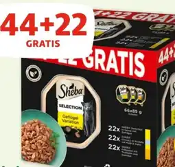 Fressnapf Sheba Katzennahrung Angebot