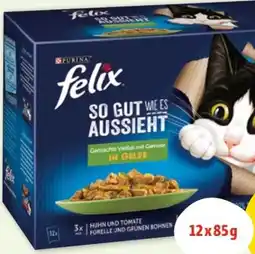 Fressnapf Purina Felix Katzennahrung Angebot