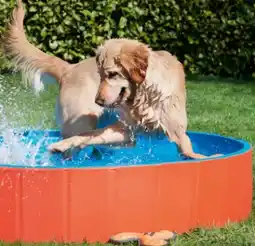 Fressnapf fit+fun Hundepool Angebot