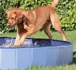 Fressnapf AniOne Hundepool Angebot
