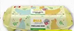 ADEG Billa immer gut Eier Angebot