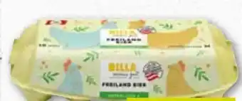 ADEG Billa immer gut Eier Angebot
